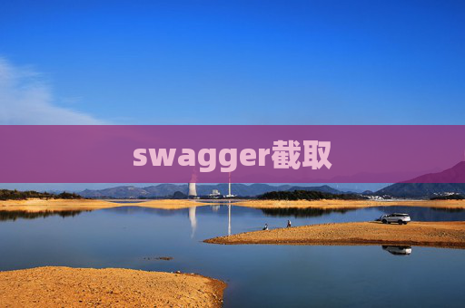 swagger截取